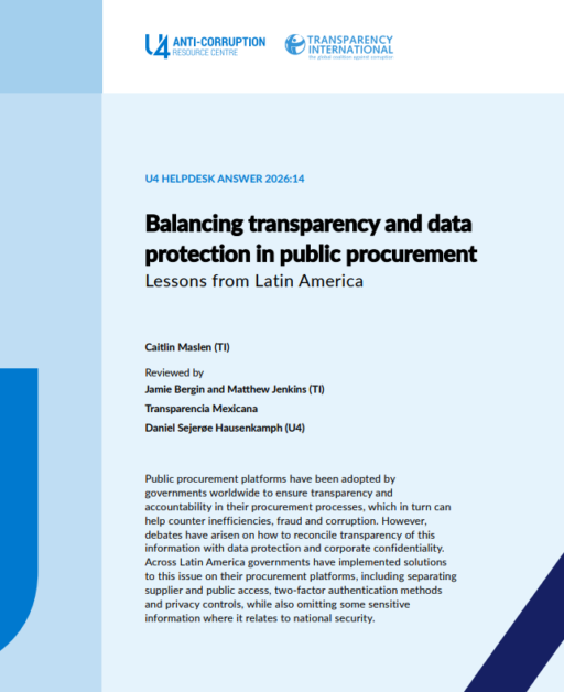 Balancing transparency and data protection in public procurement: Lessons from Latin America