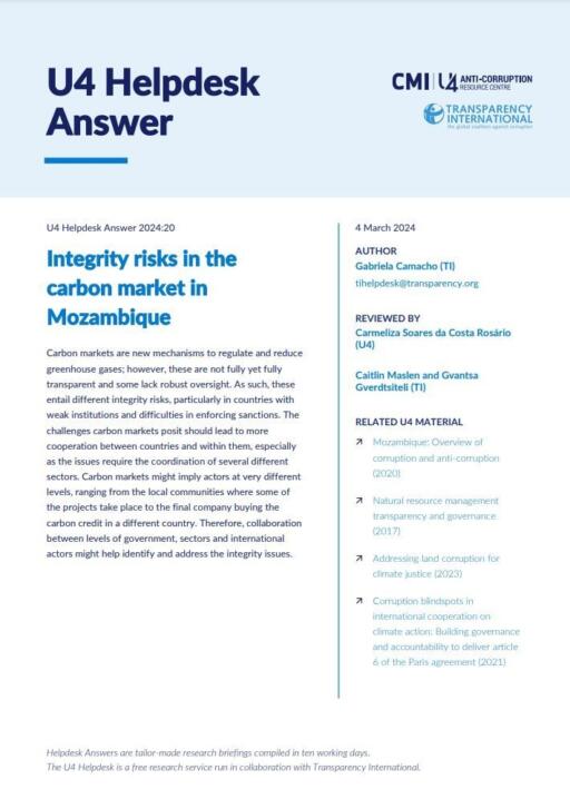 Integrity risks in carbon markets in Mozambique