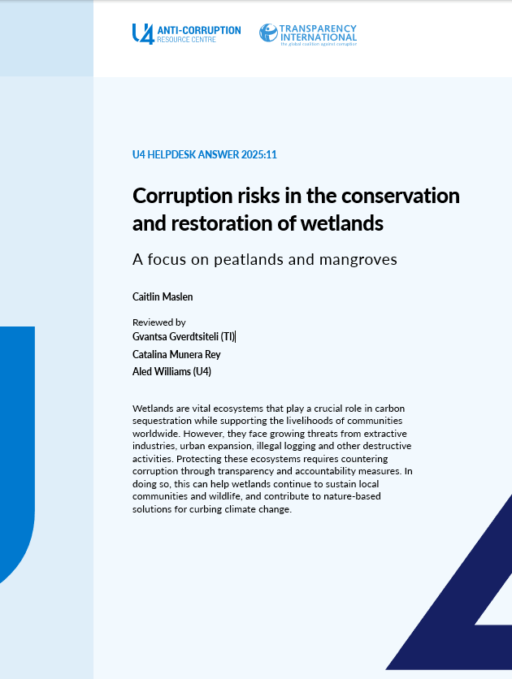 Corruption risks in the conservation and restoration of wetlands